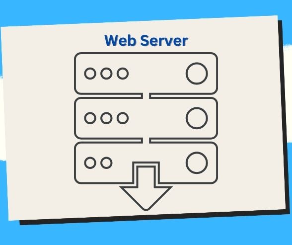 Empower Your Business: Steps to Choose the Right Reseller Hosting Provider